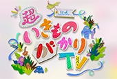 超いきものがかりTV